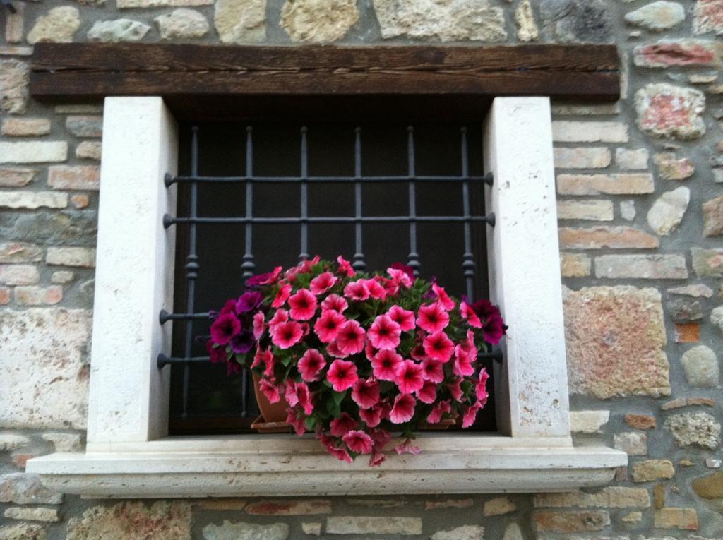 Agriturismo La Cantina Ascoli Piceno Esterno foto