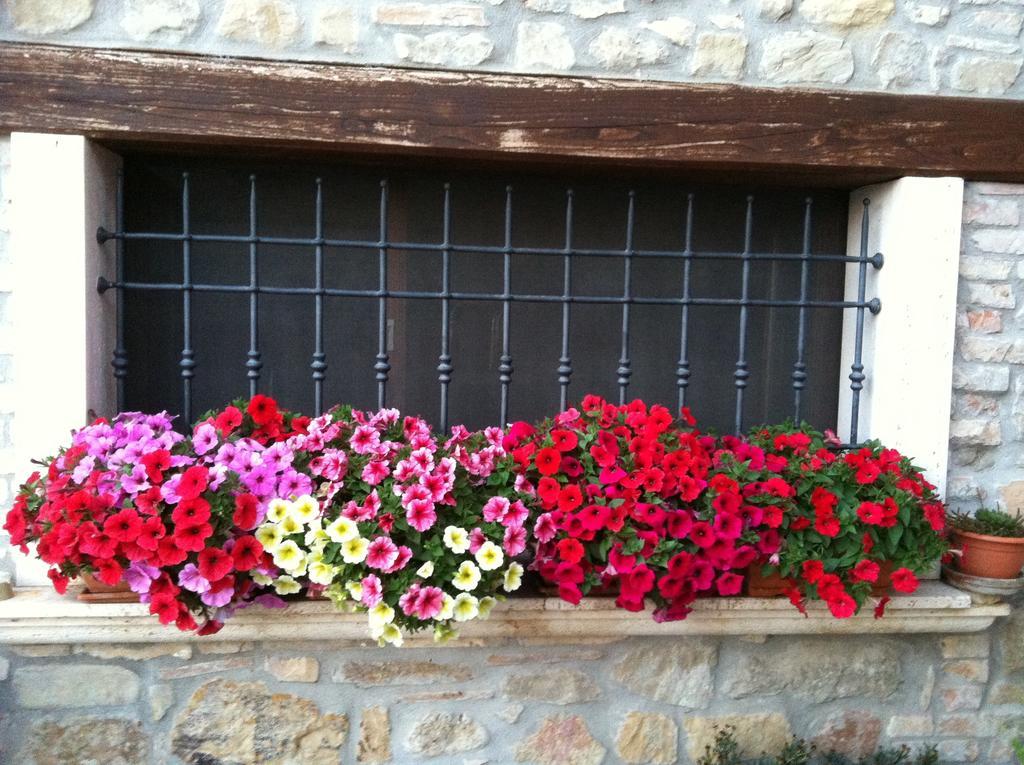 Agriturismo La Cantina Ascoli Piceno Esterno foto